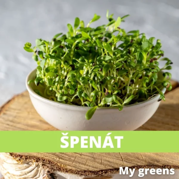 Špenát microgreens semena 40g