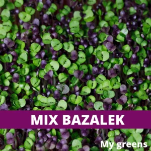 mix bazalek semena