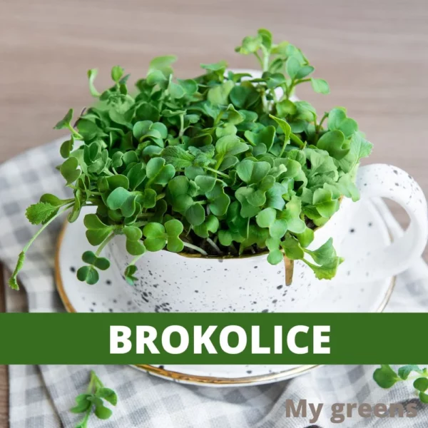 Brokolice microgreens semena 40g