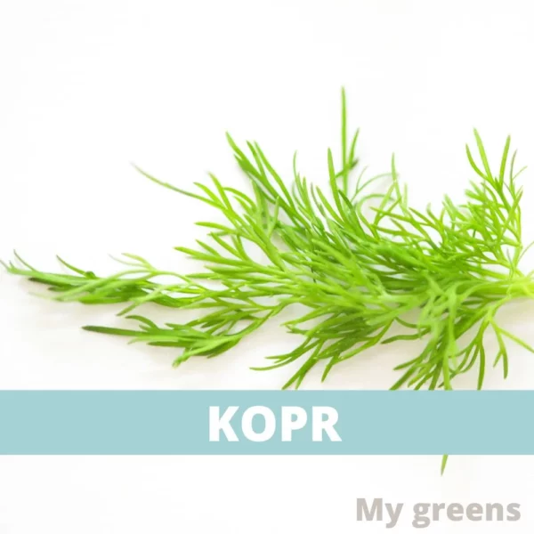 Kopr microgreens semena 5g