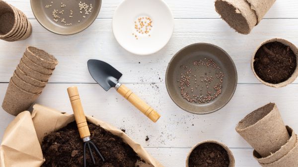 Mikrobylinky, microgreens, mikrozelenina, Pěstování Mikrobylinek